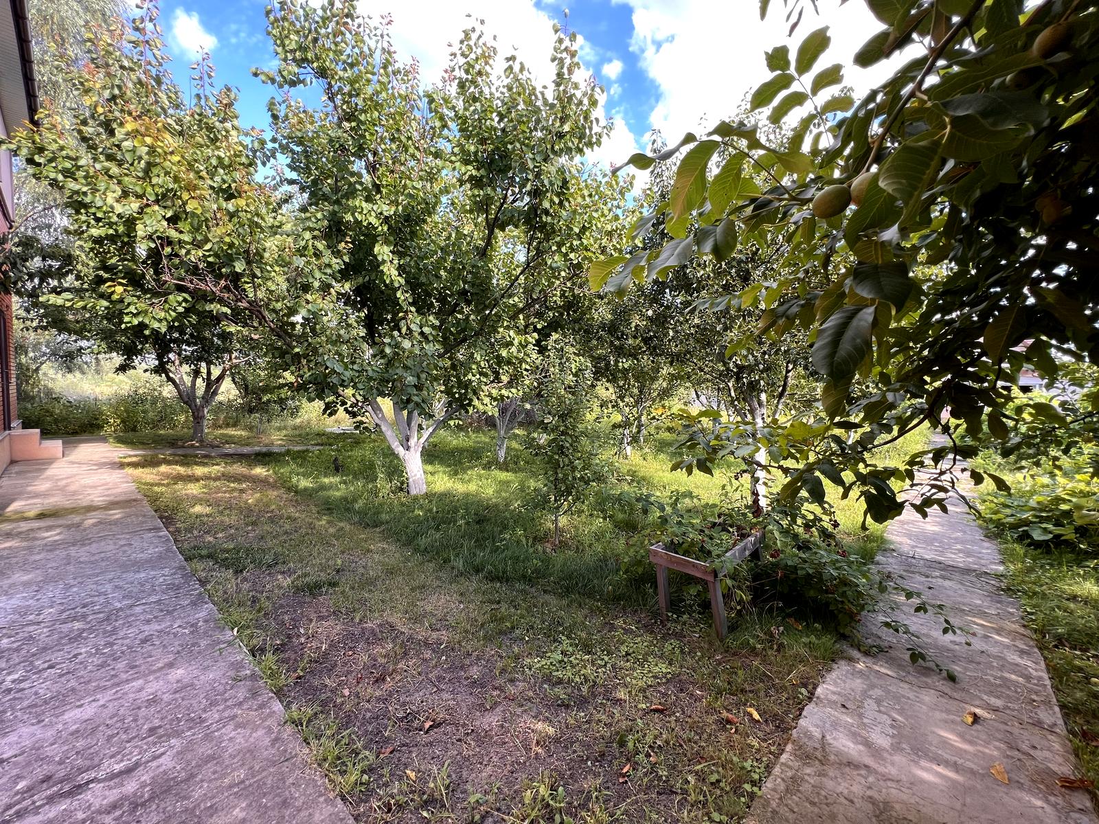 1862081435218850