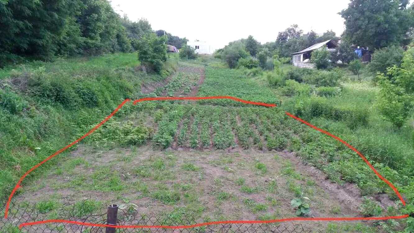 1862453092247626