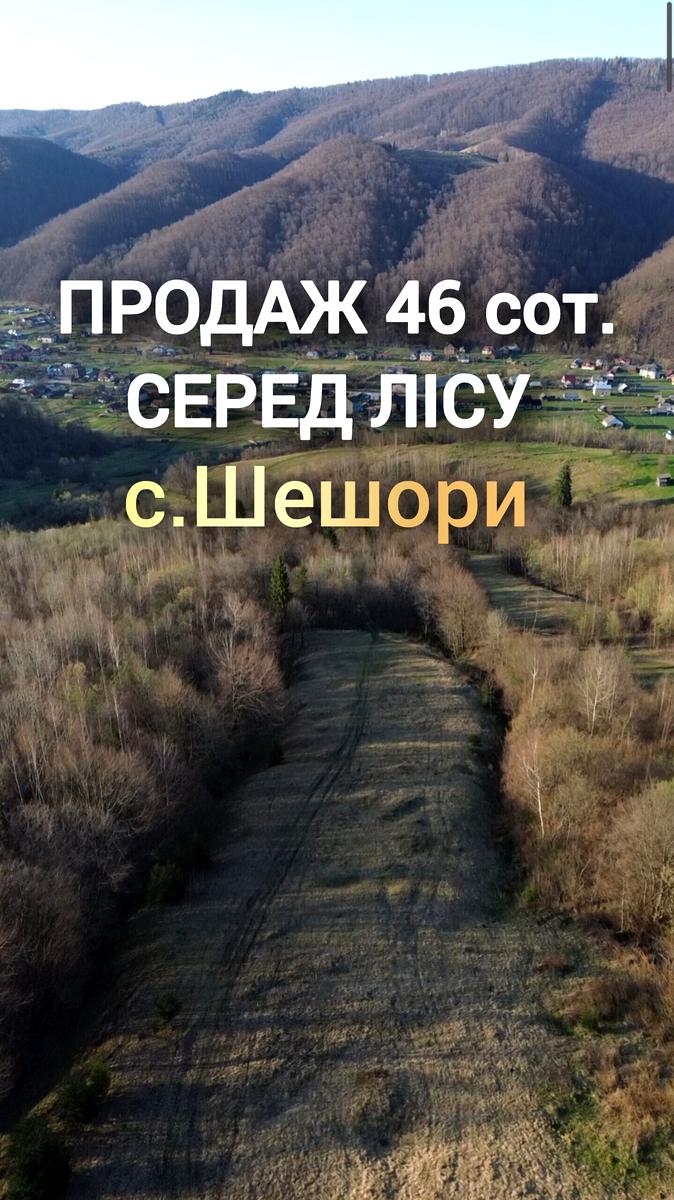 1862464550785539
