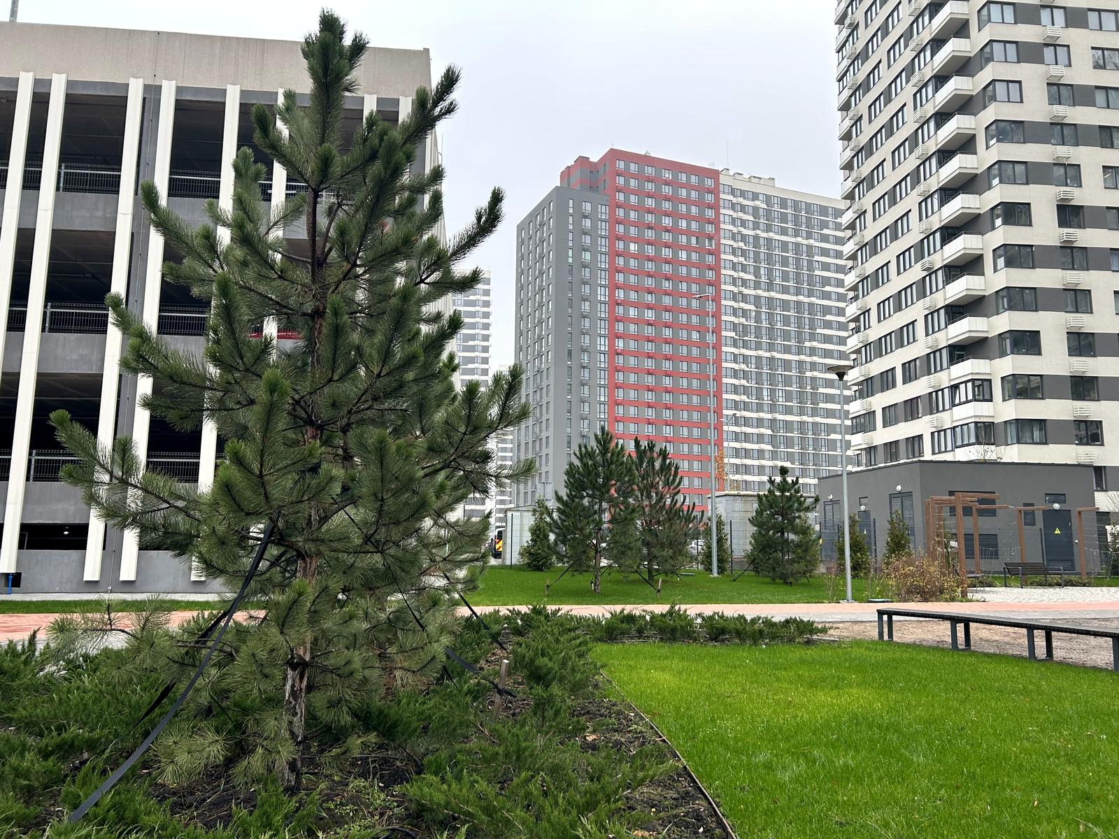 1862466613826491
