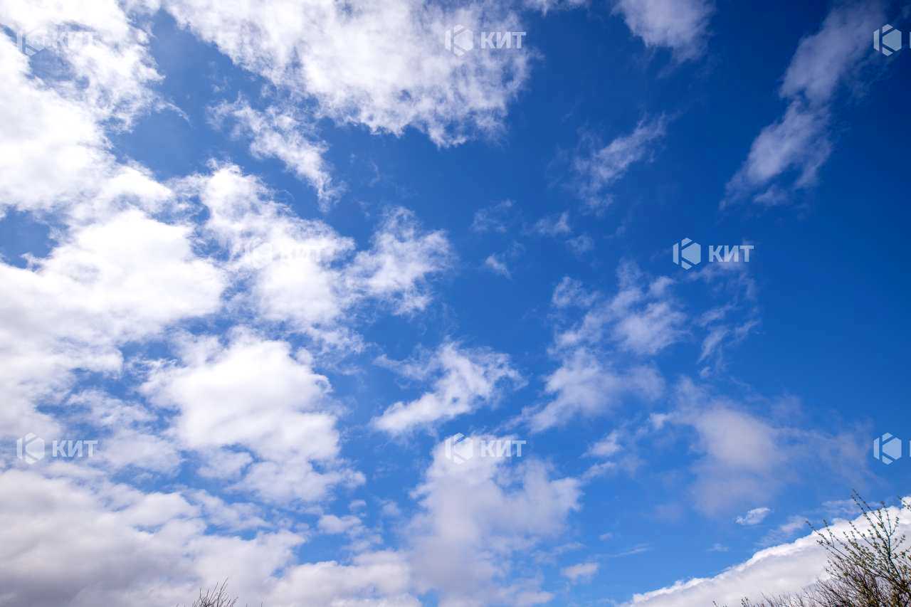 1862527206070028