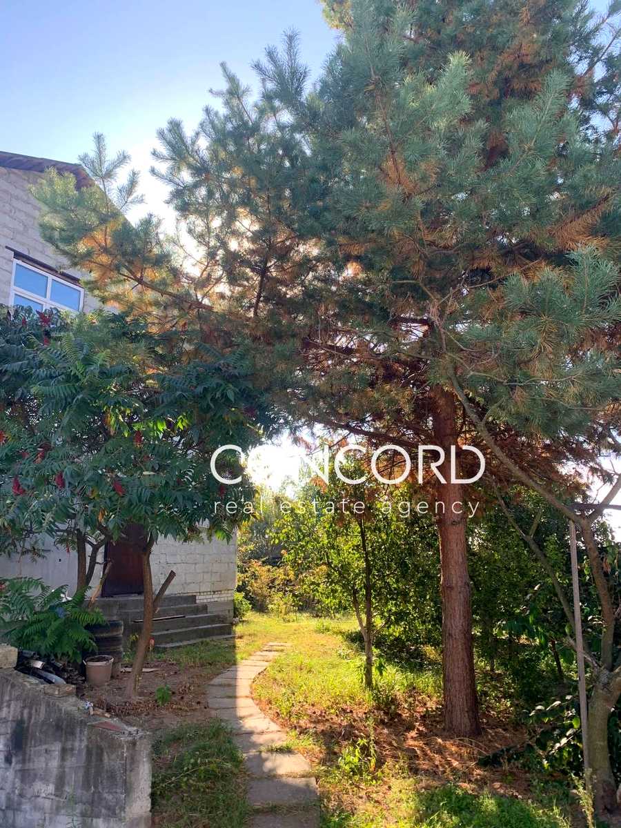 1862552166589416