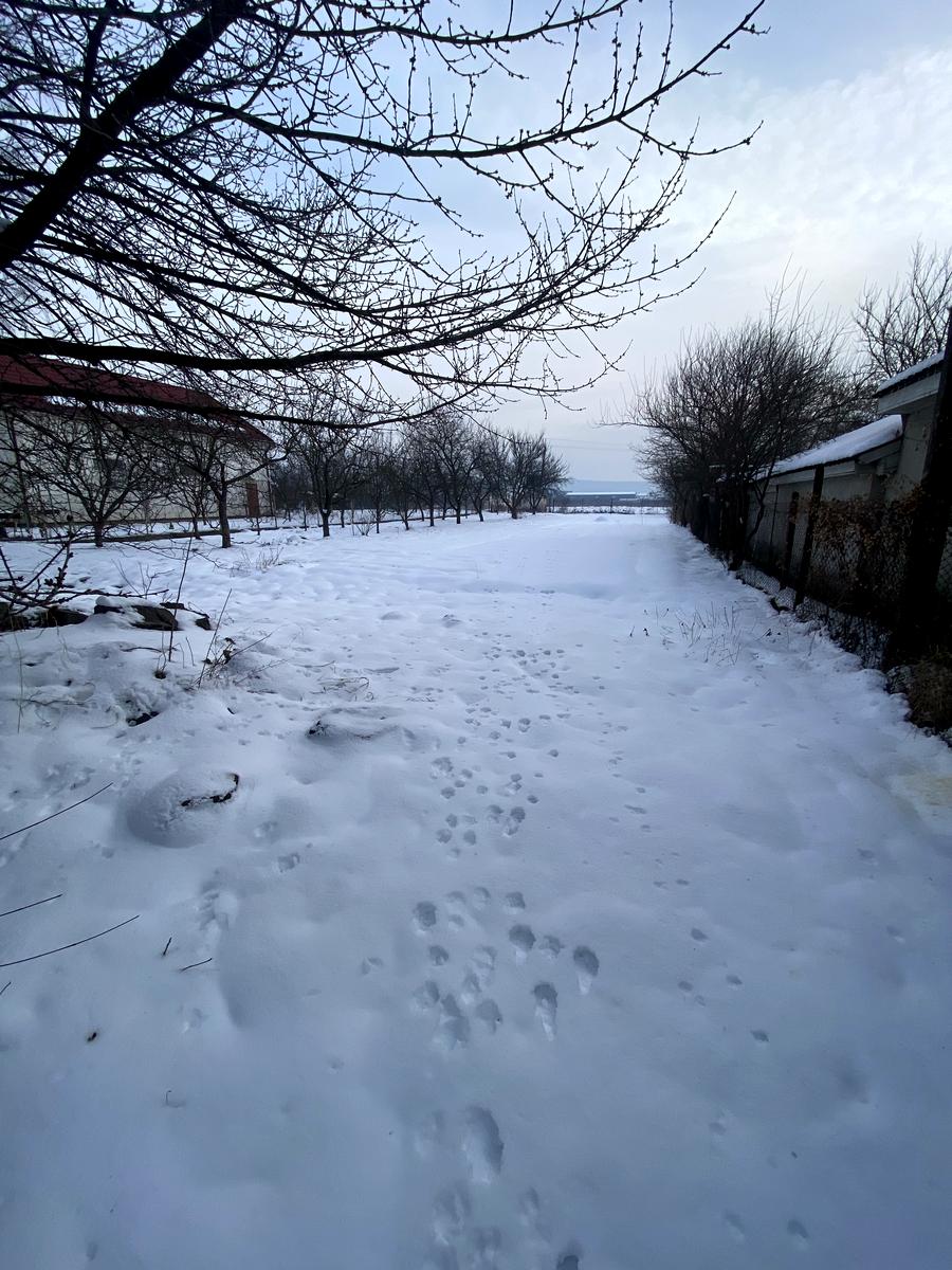 1862614603517267