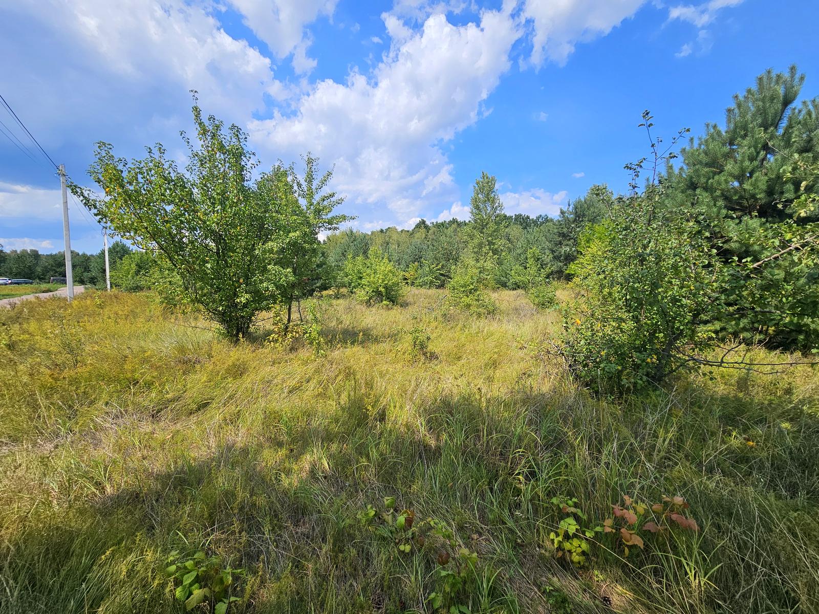 1862622029202263