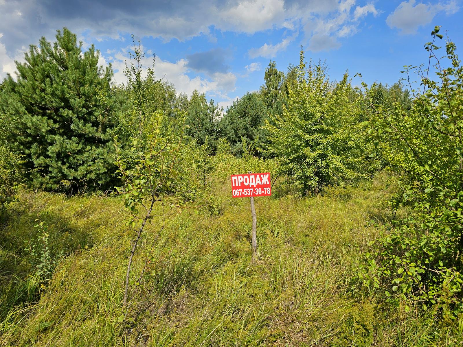 1862622030749676