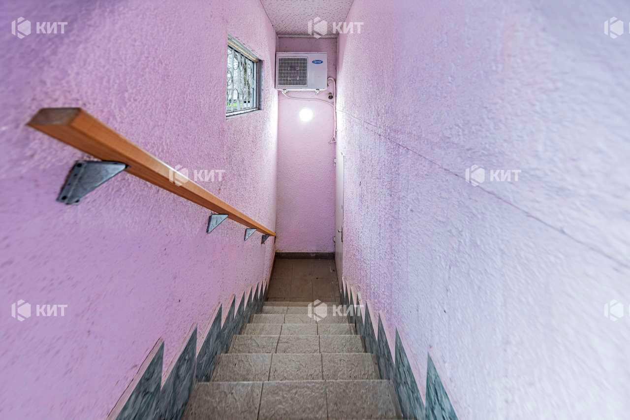 1862629787197524
