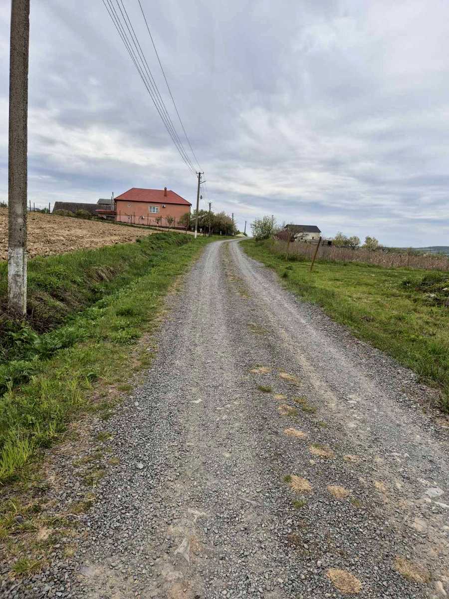 1862702846101316