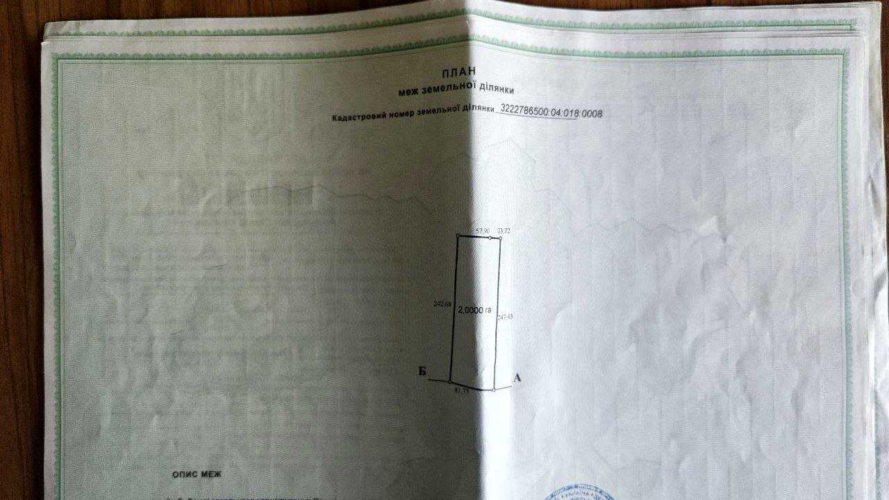 1862713947055774