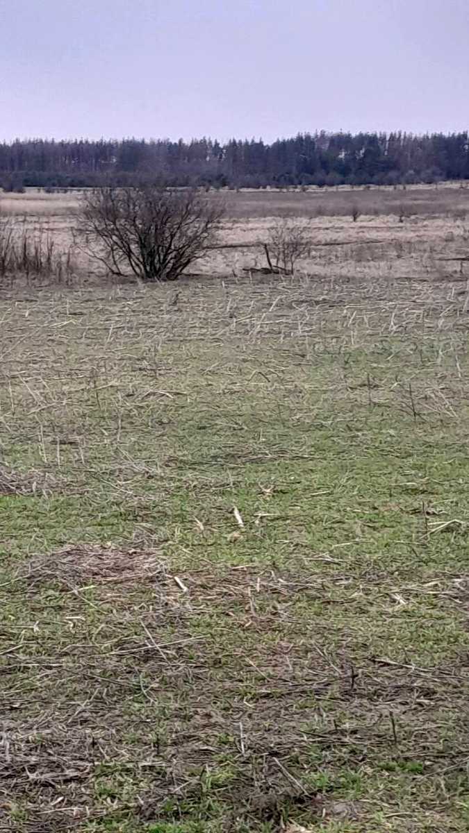 1862796671879289