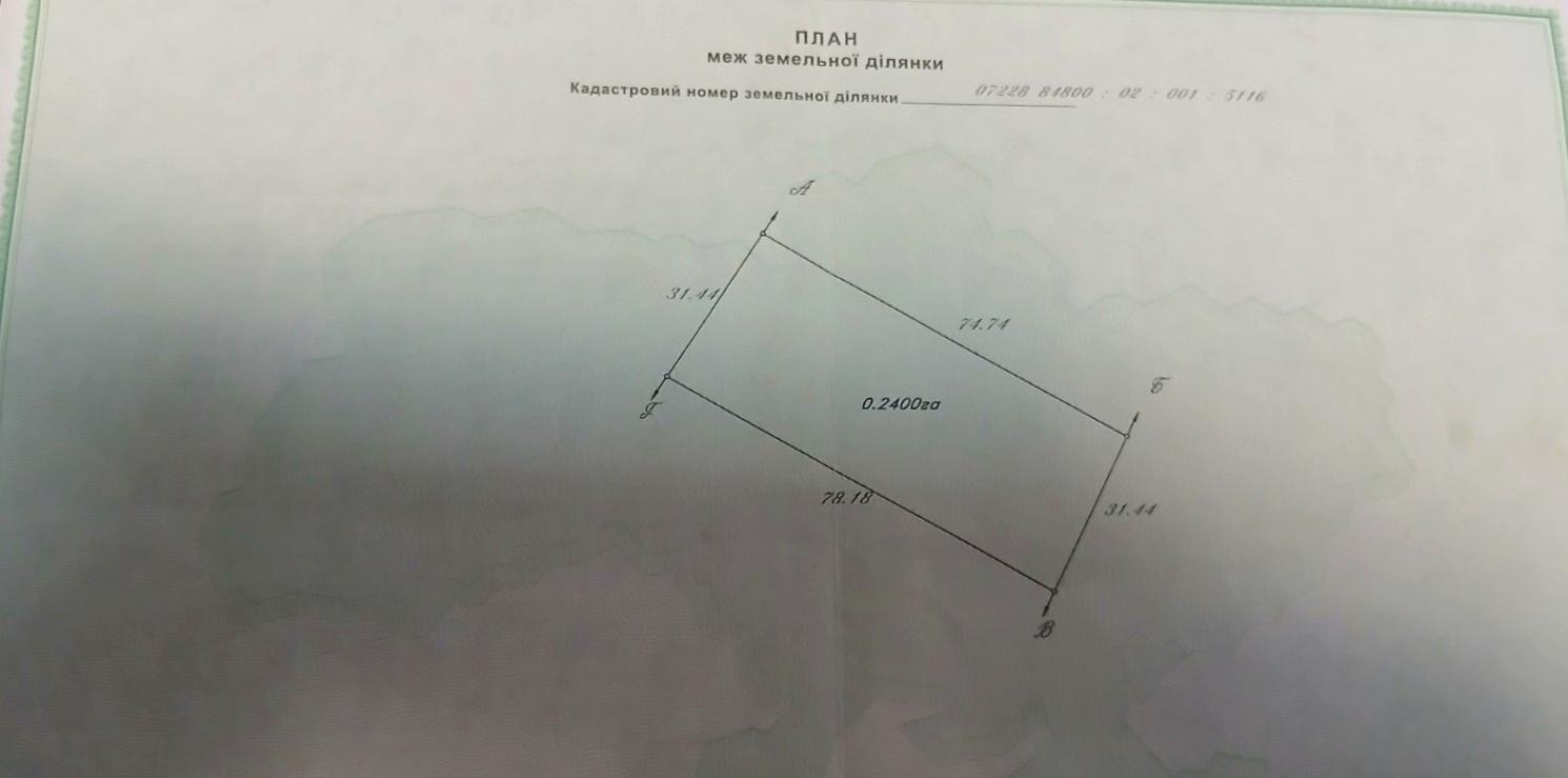 1862819498517502
