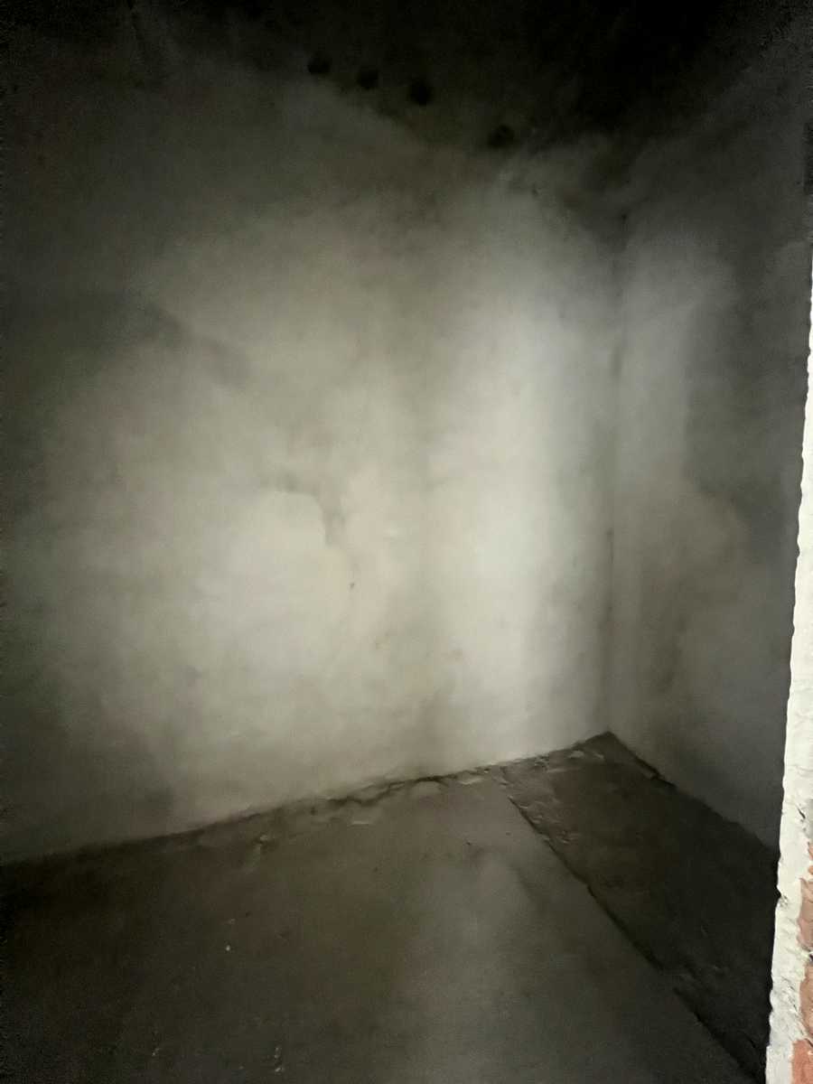 1862831365269442
