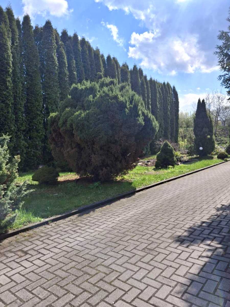 1862980755412822