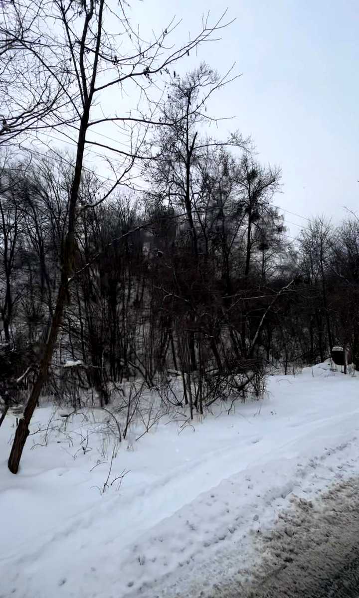 1862997027683830