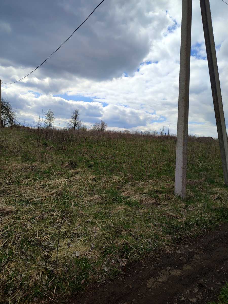 1863089743262006