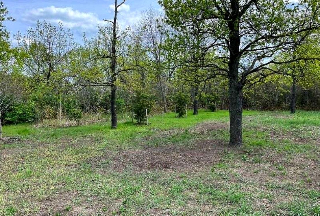 Будинок за адресою вул. Горіхова (площа 120 м²) - фото 5 Будинок за адресою вул. Горіхова (площа 120 м²) - Atlanta.ua - фото 5