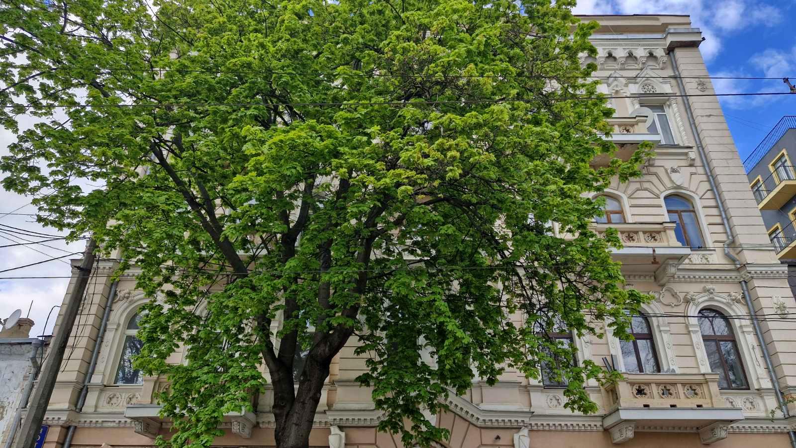 Комерційна нерухомість за адресою (площа 178 м²) - фото 35 Комерційна нерухомість за адресою (площа 178 м²) - Atlanta.ua - фото 35