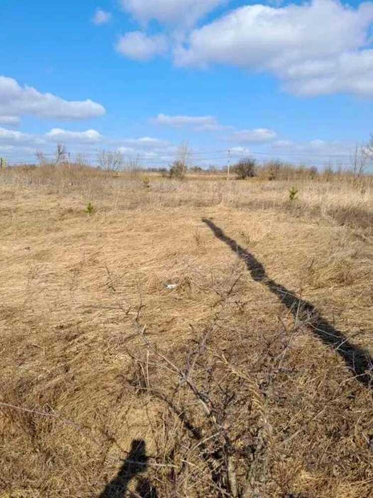 1863338503318439