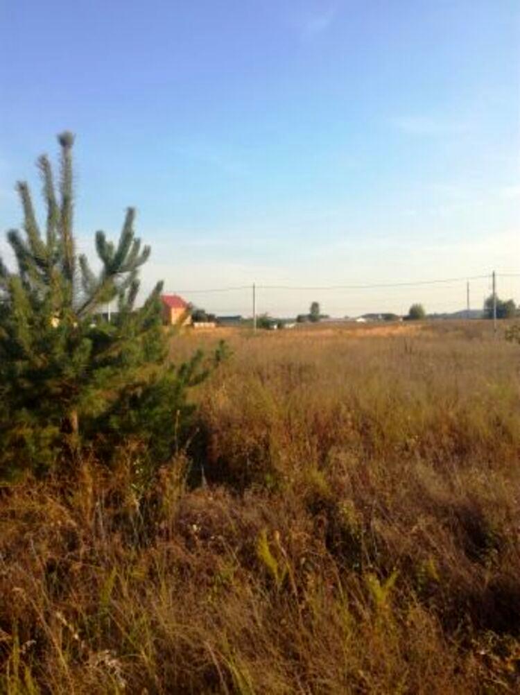 1863343211520206