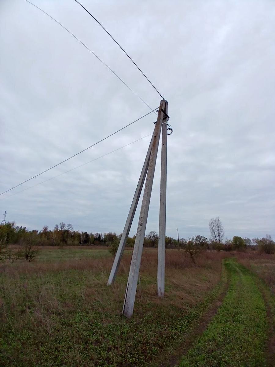 1863528256274934