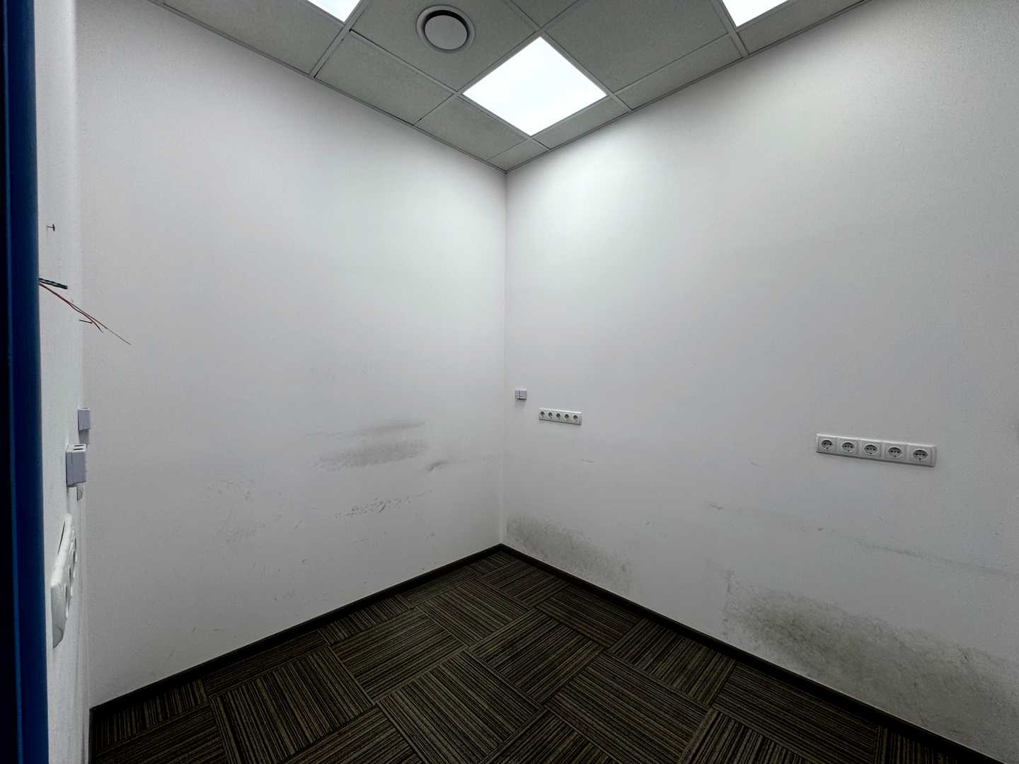 1863549356484187