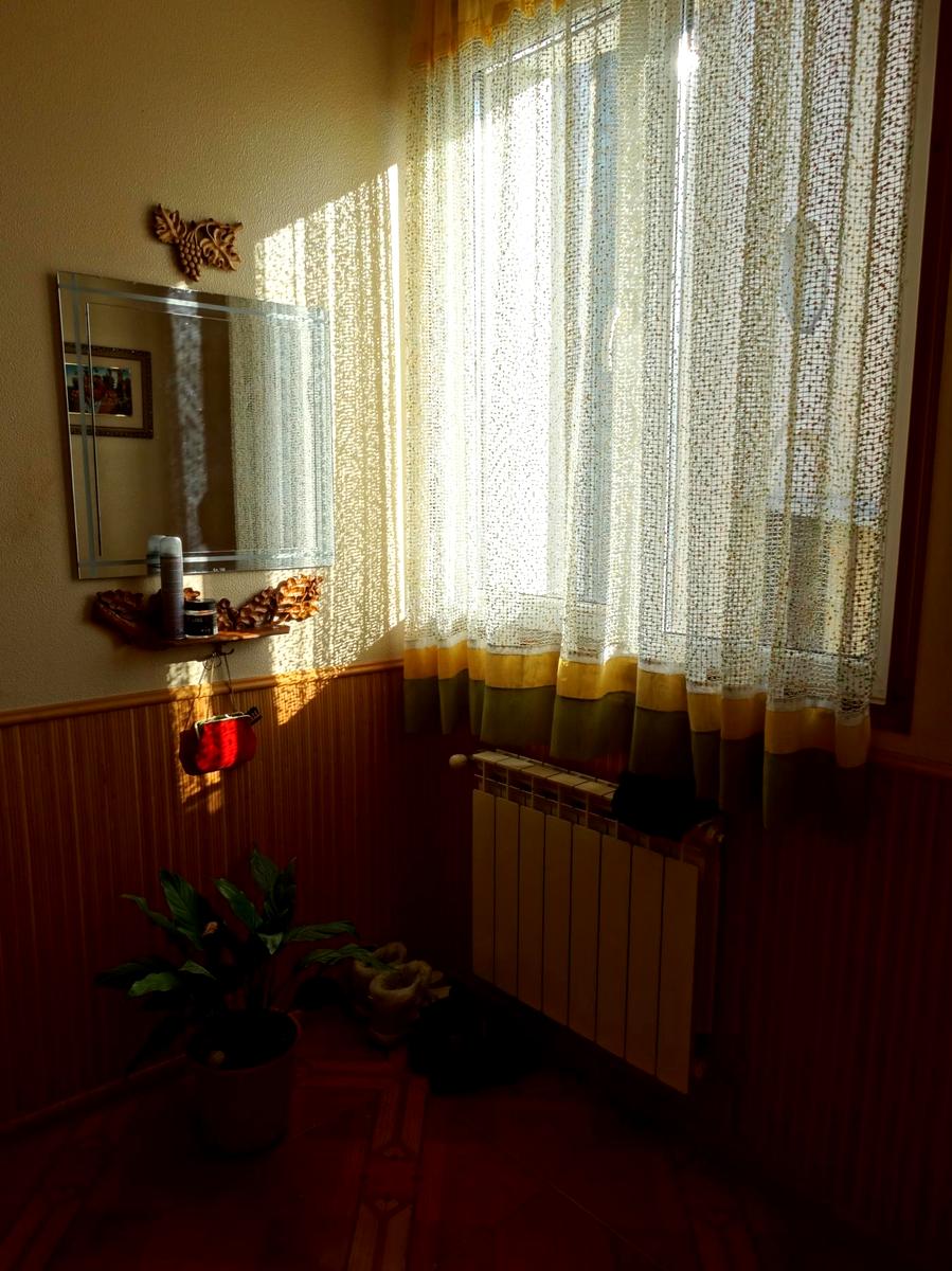 1863613525320566