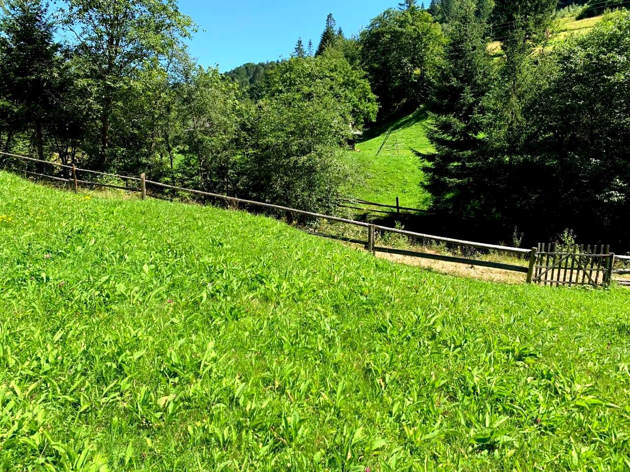 1863618122486137
