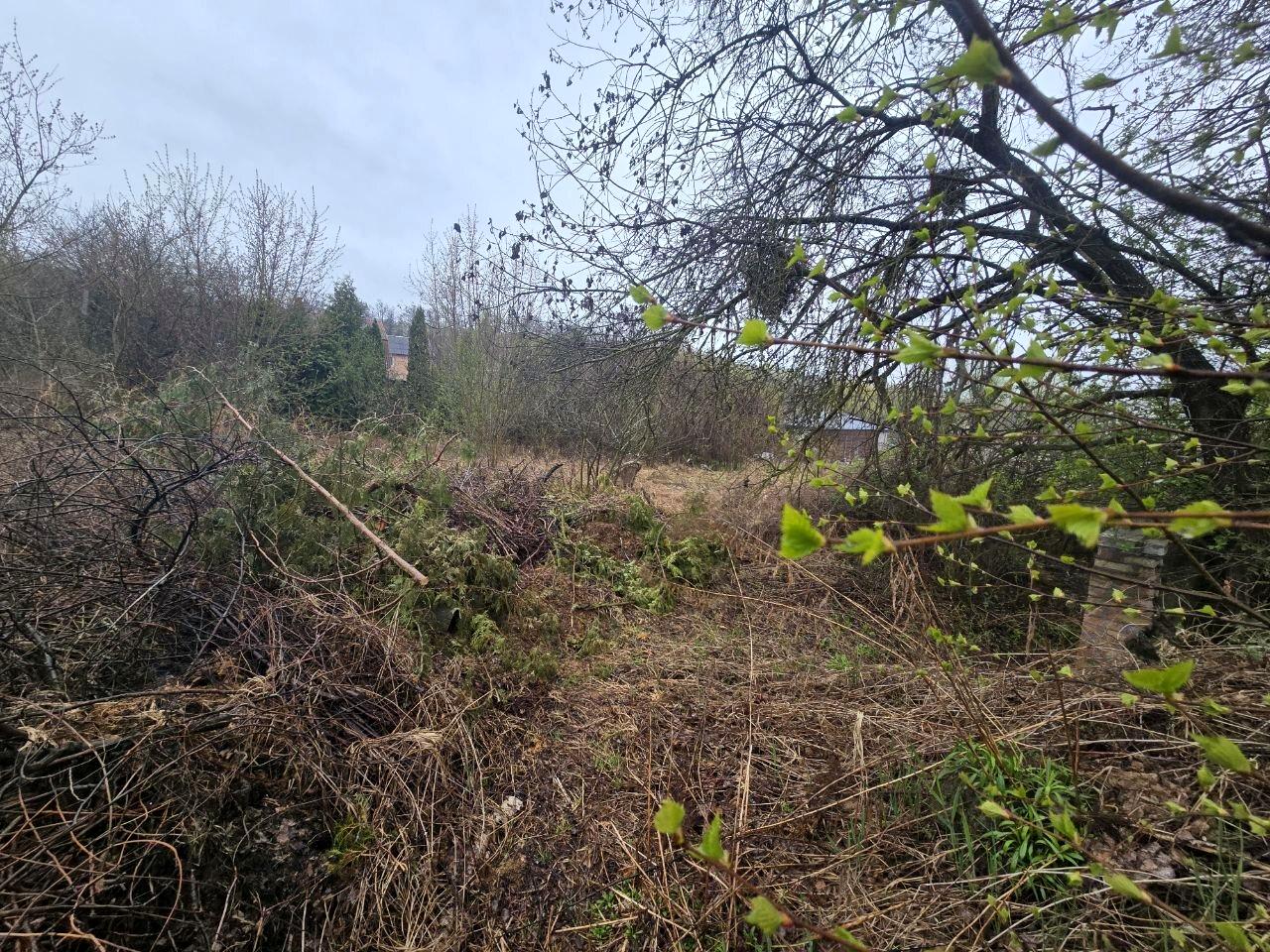 1863648181273742