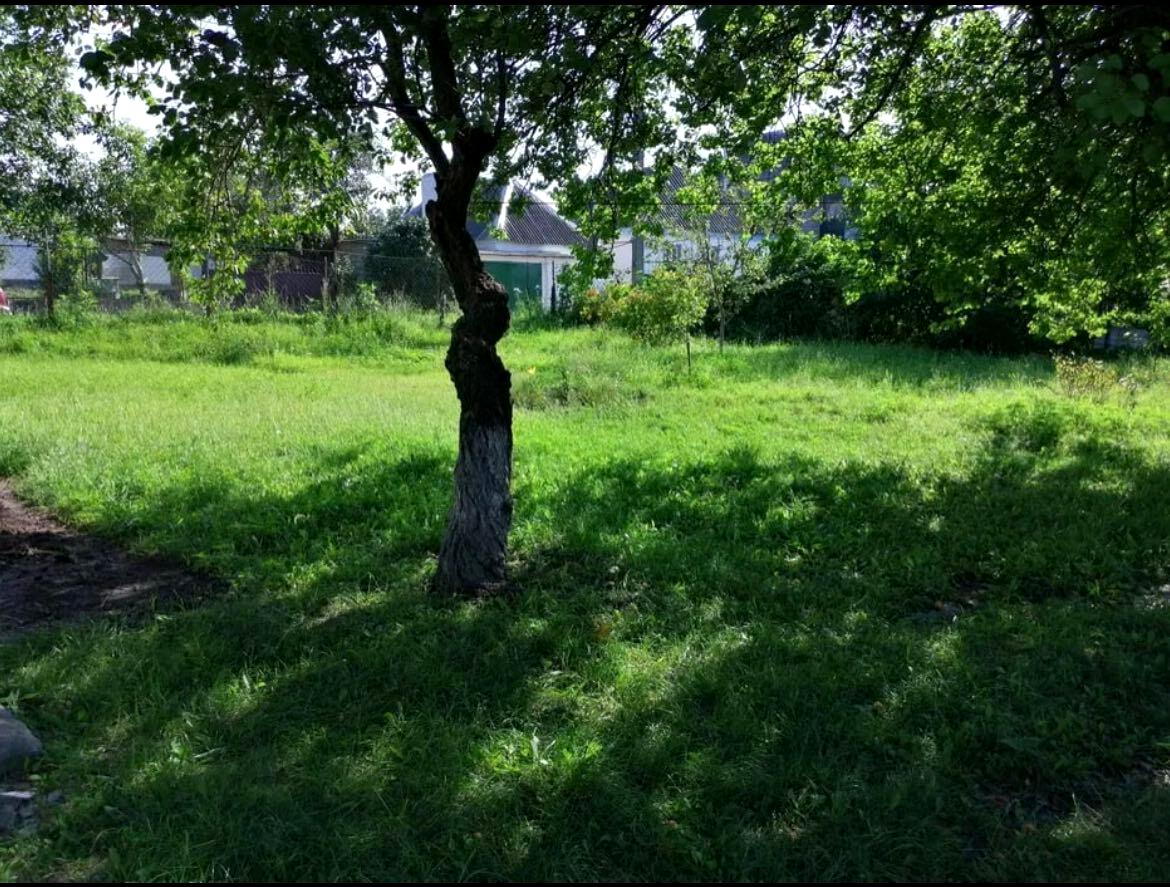 1863707281728782