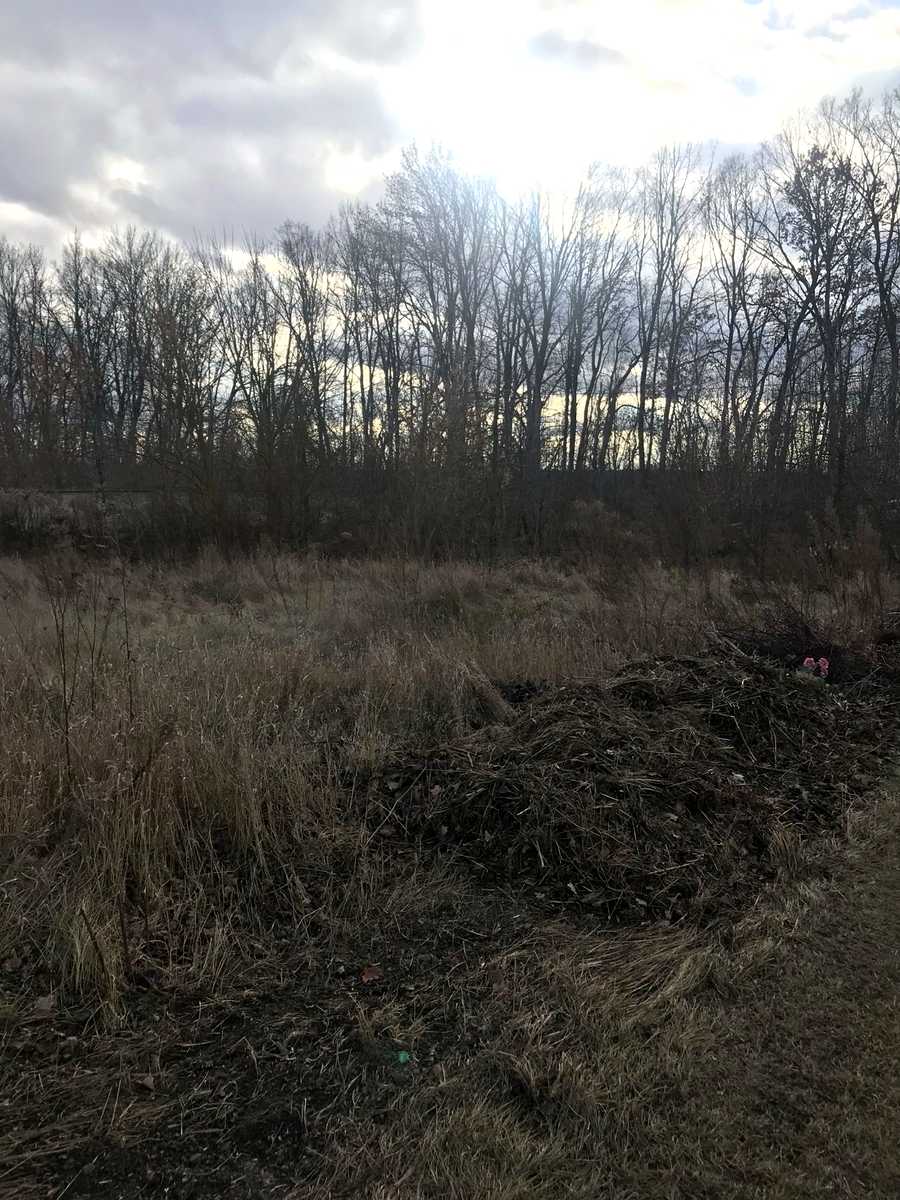 1863722490314296