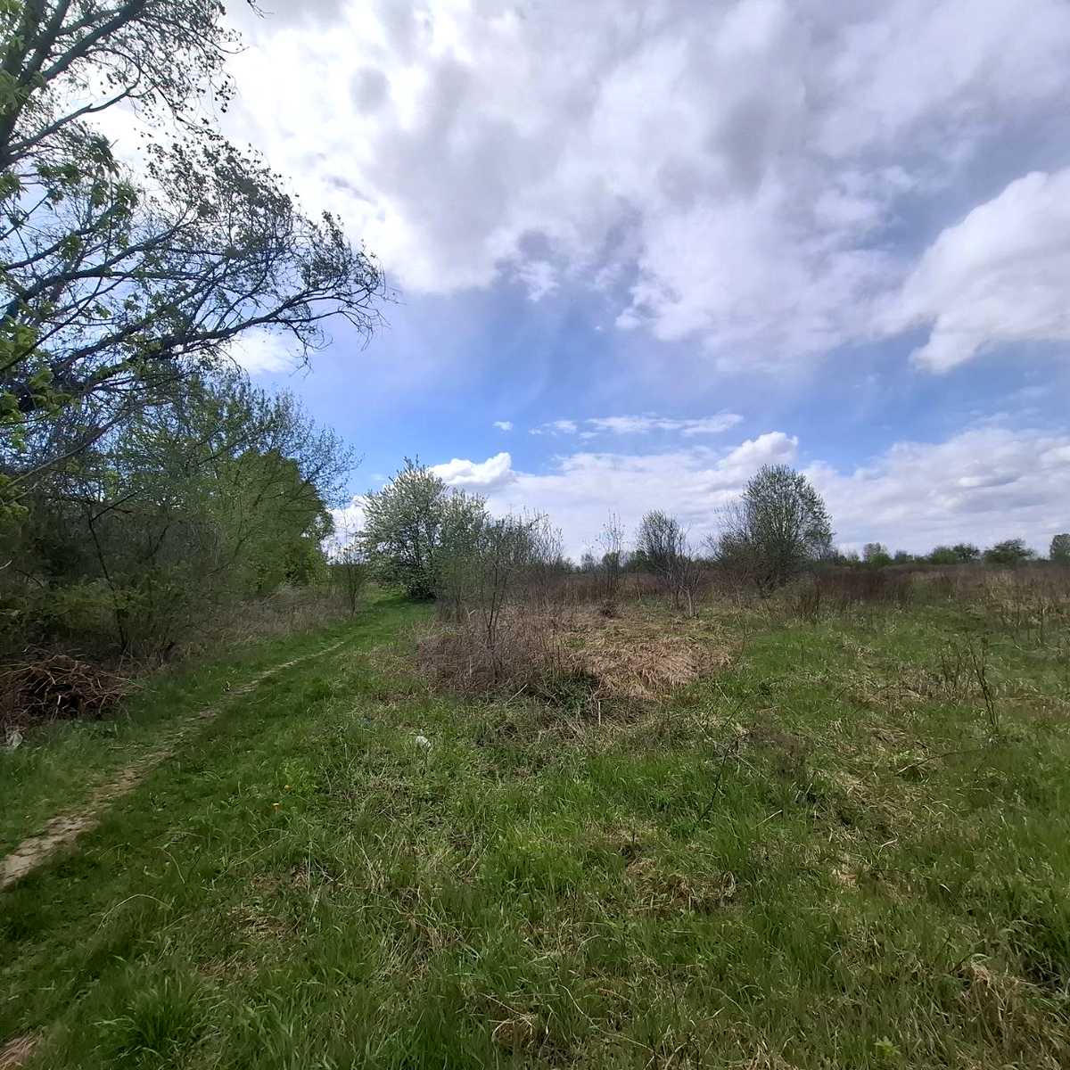 1863812359572293