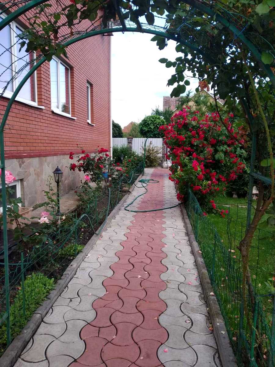 1863888483026478