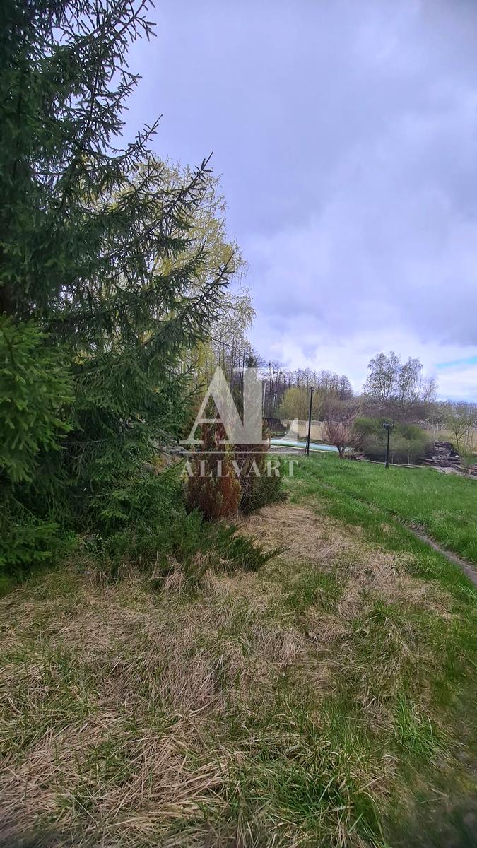 1864271408143134