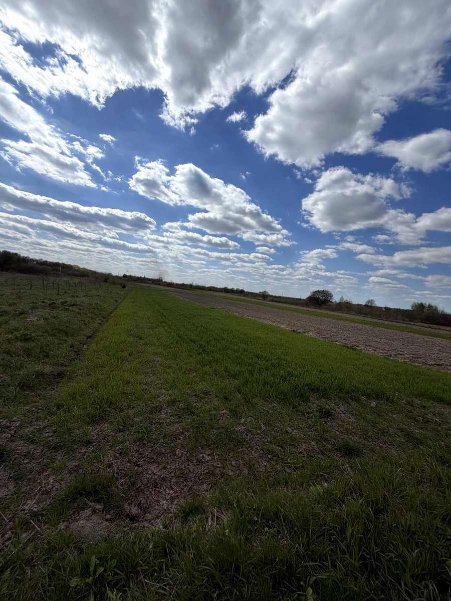 1864288502755371