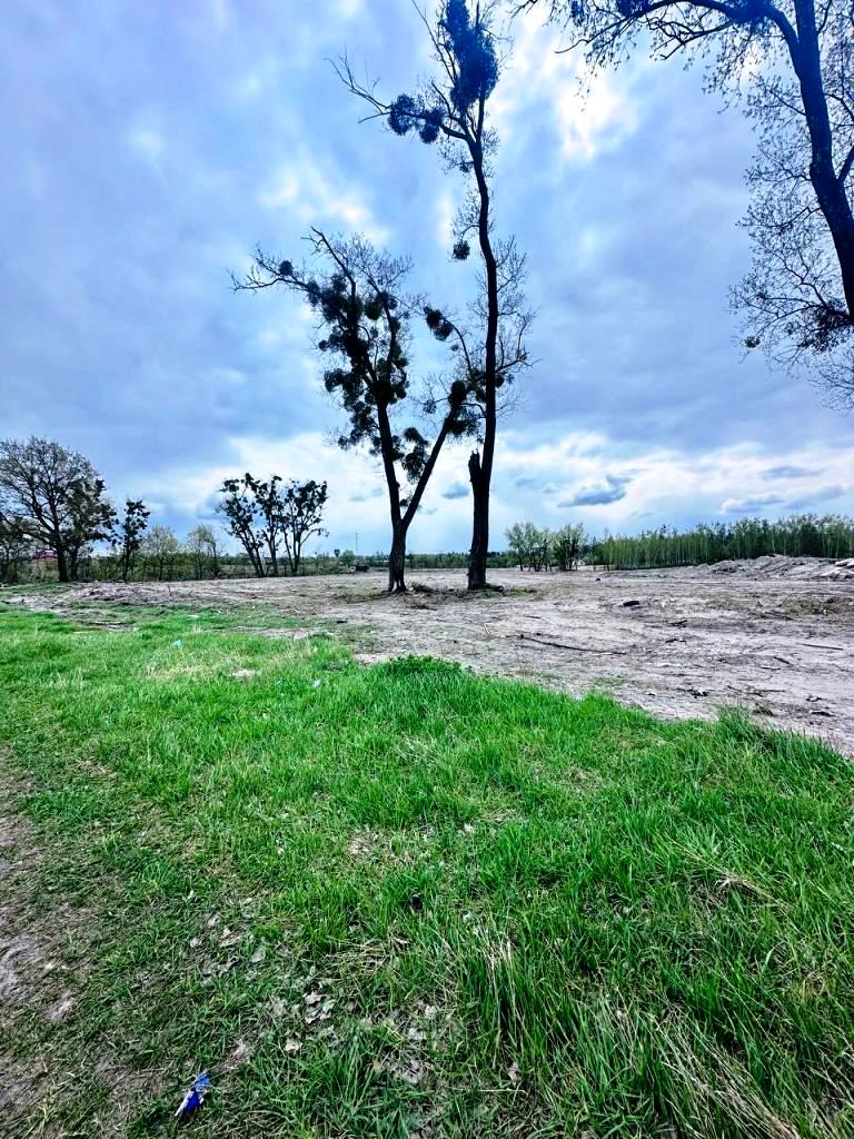 1864335654536656
