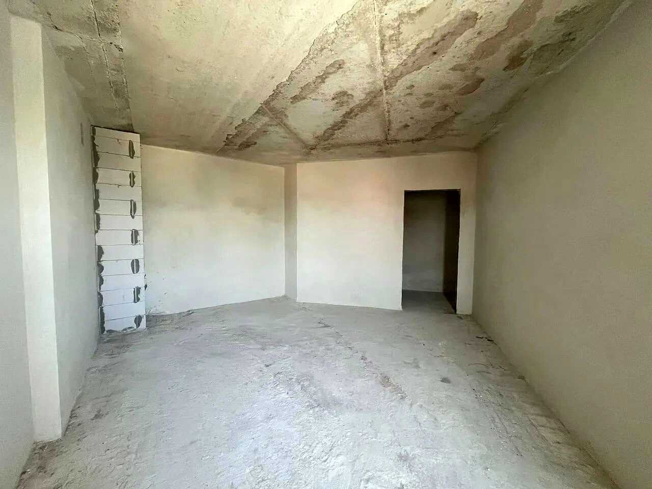 1864424701546503