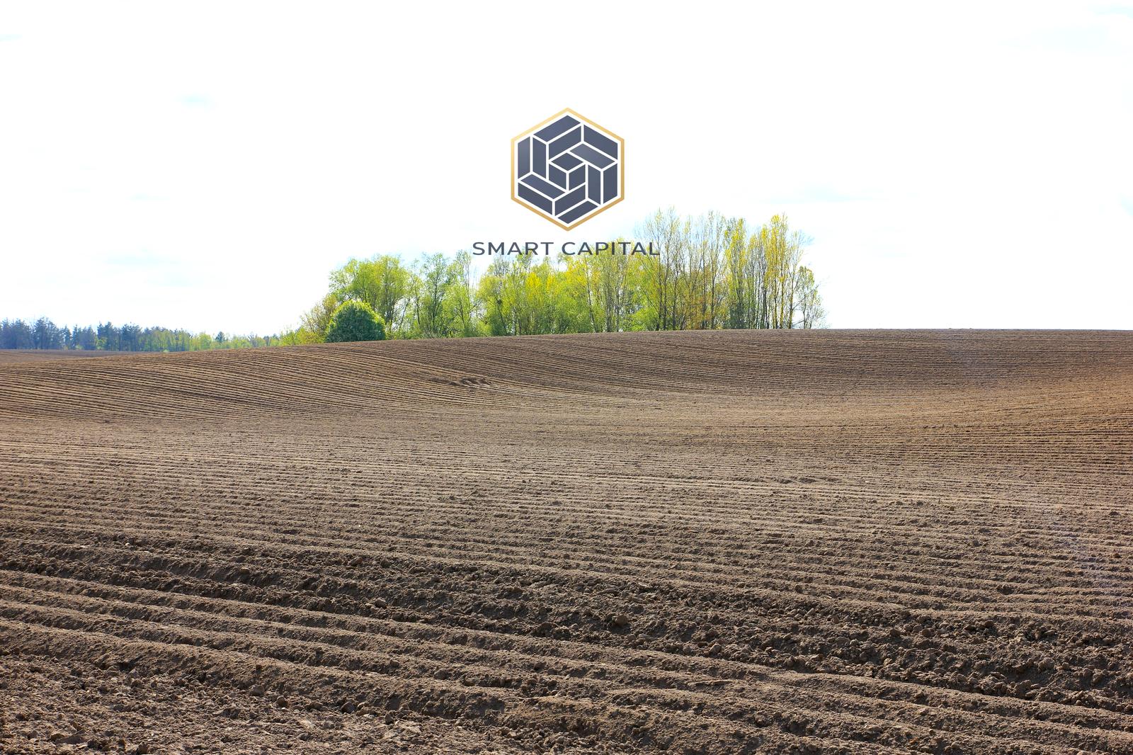 1864454830096382