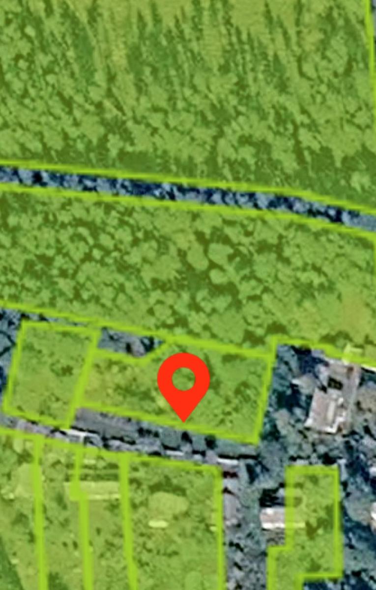 1864525527745921