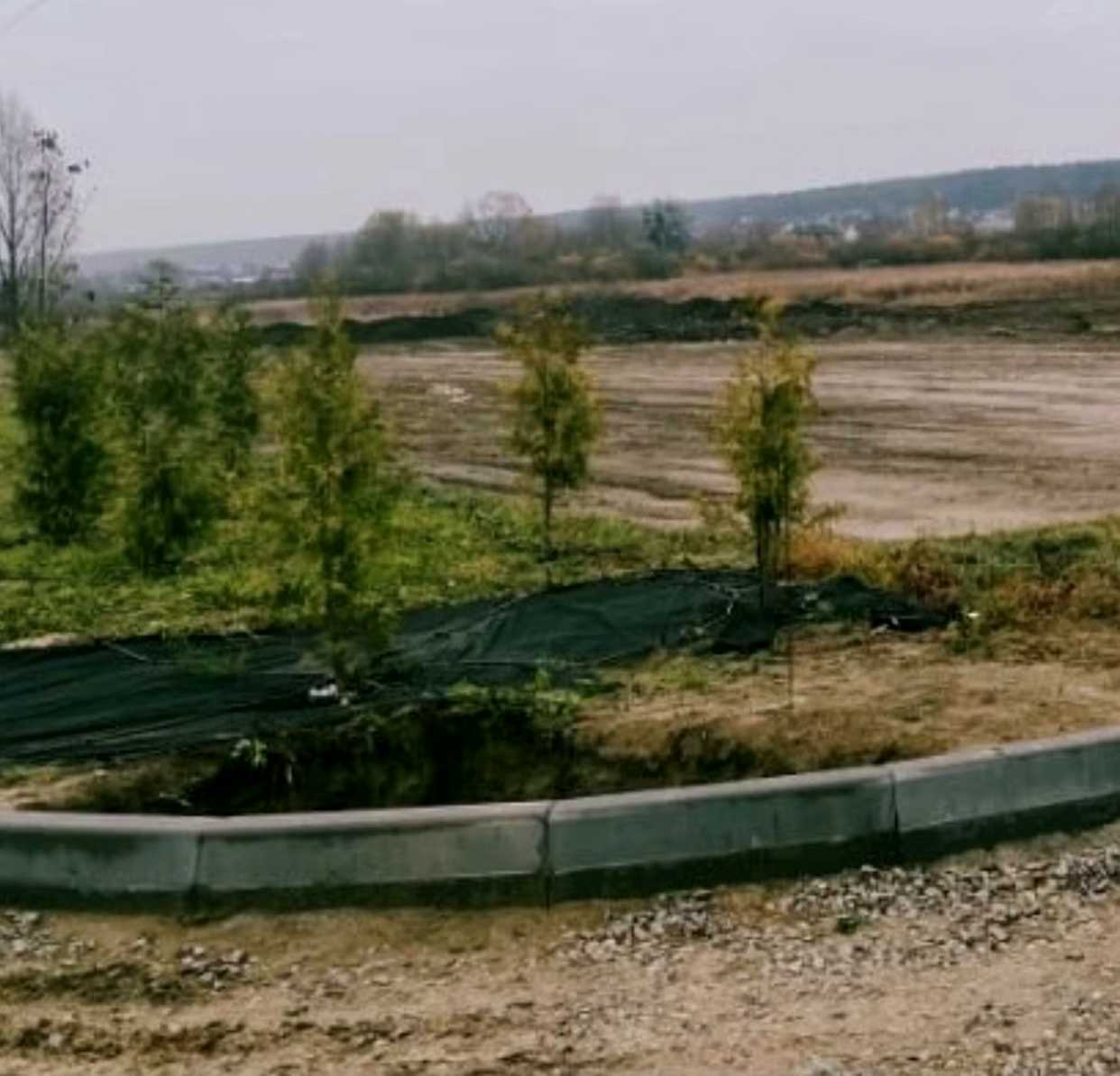 1864541871955492
