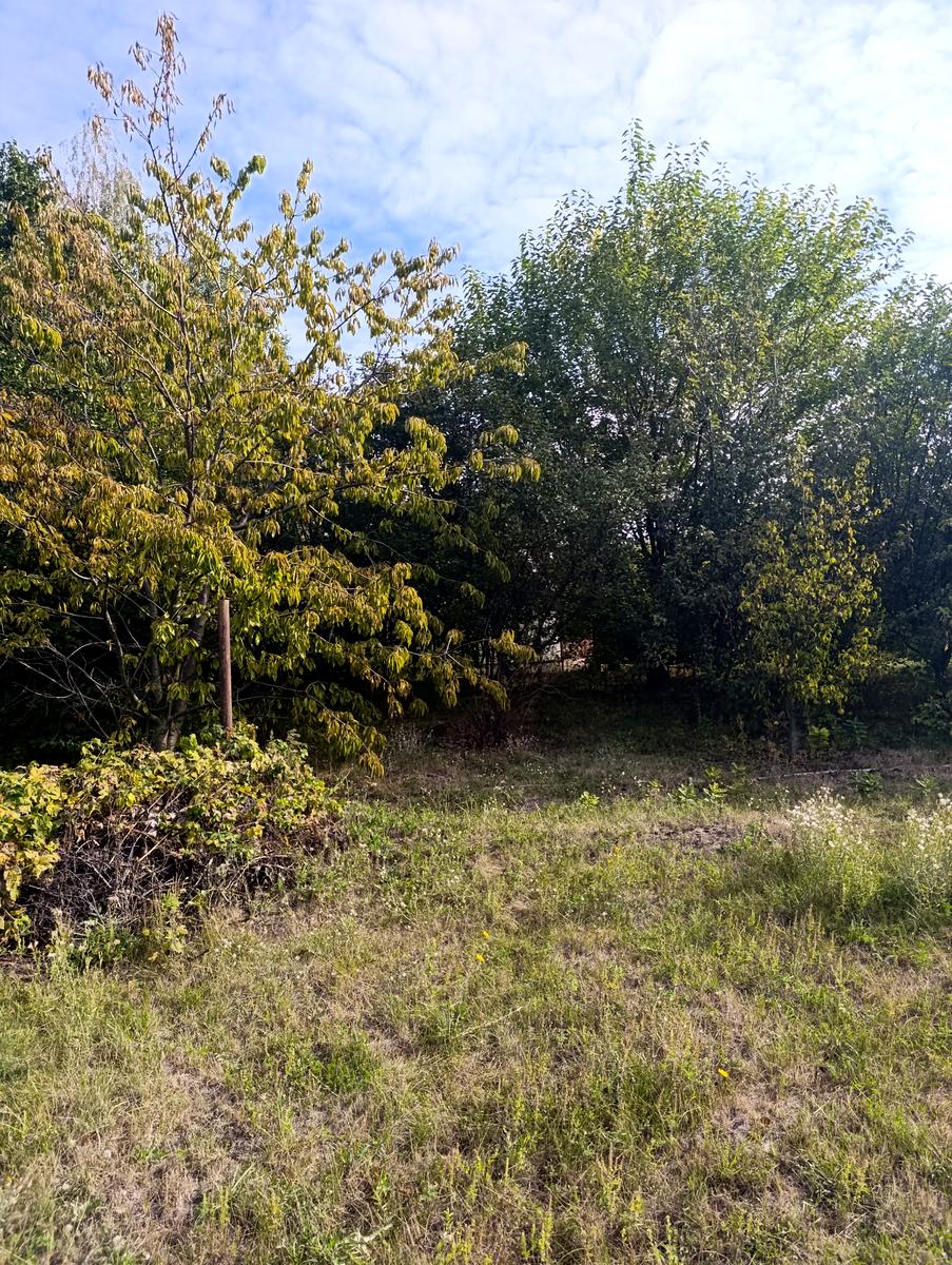 1864564068511856