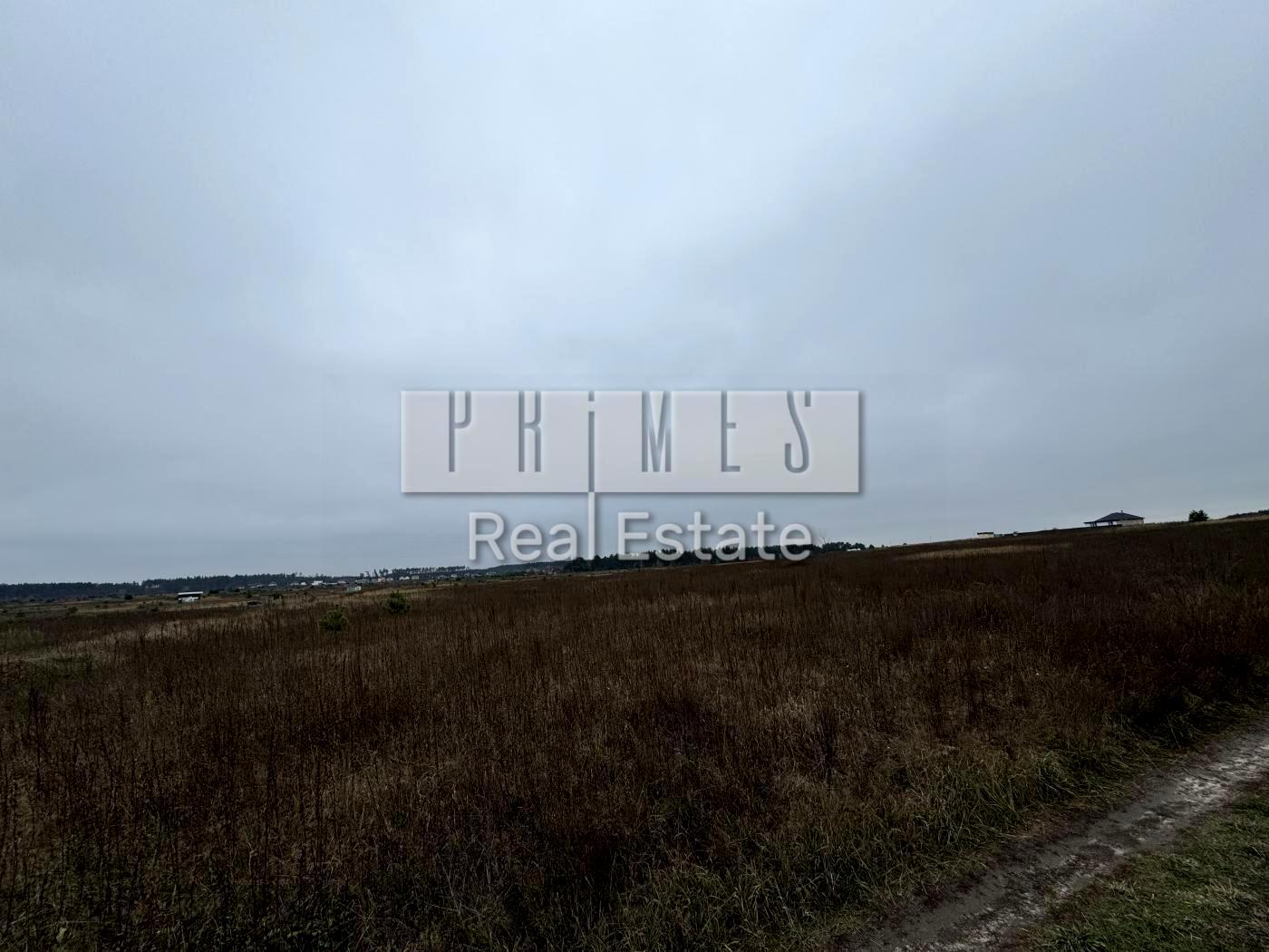1864624506463068