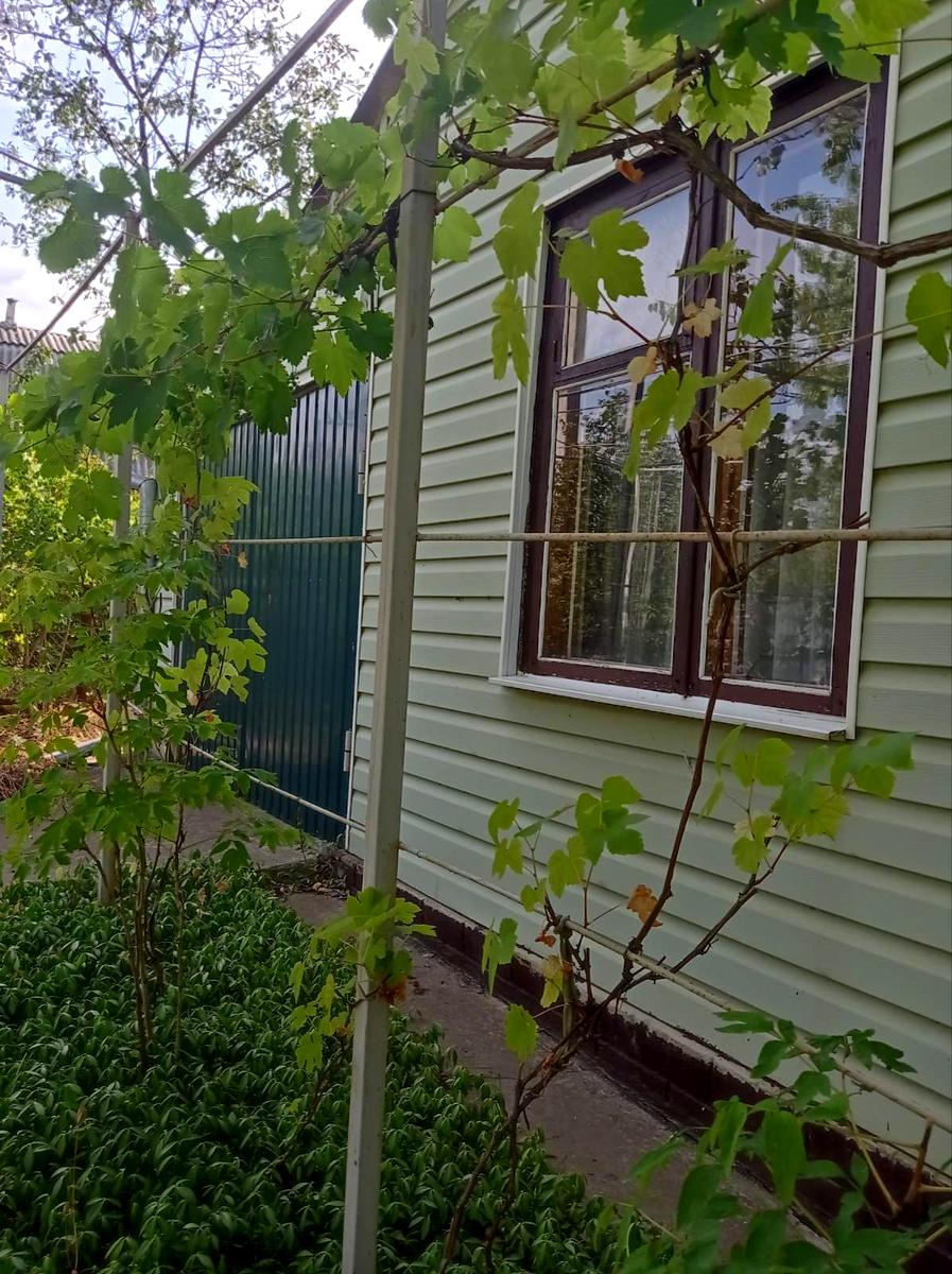 Дом по адресу ул. Тенистая (площадь 55 м²) Дом по адресу ул. Тенистая (площадь 55 м²) - Atlanta.ua