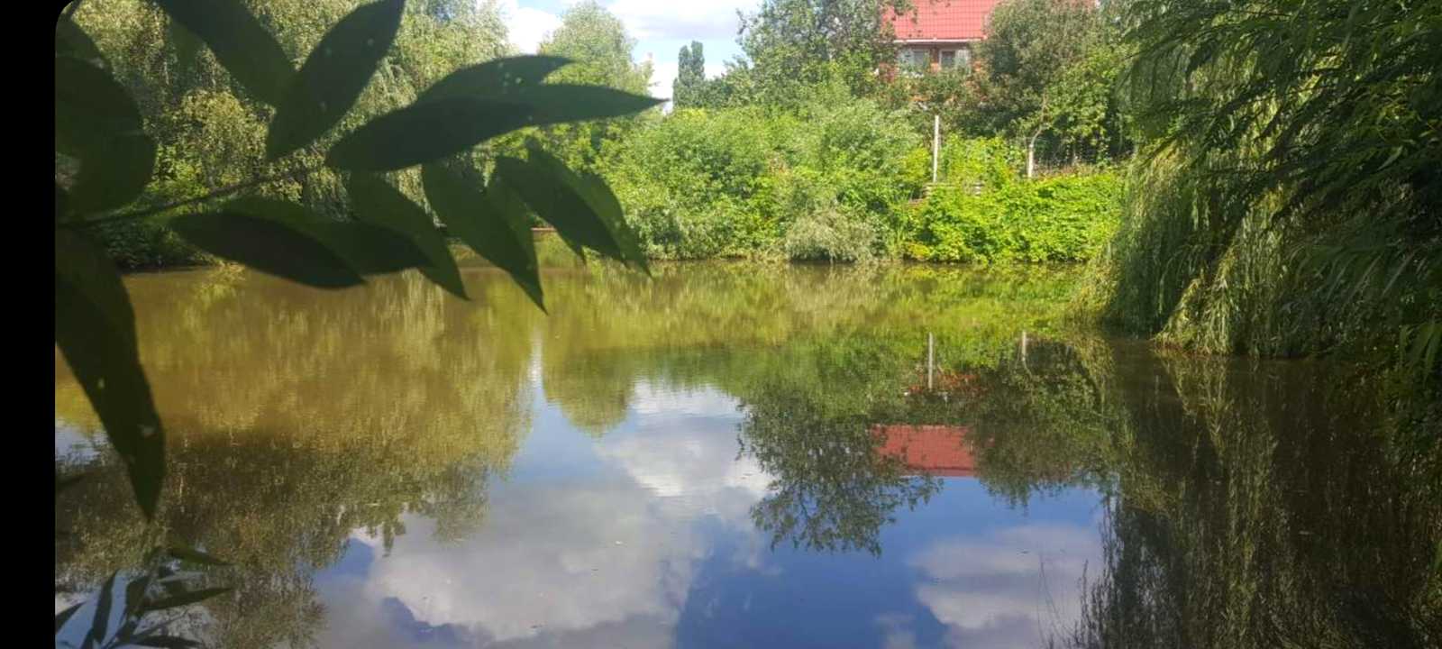 1864686665412423