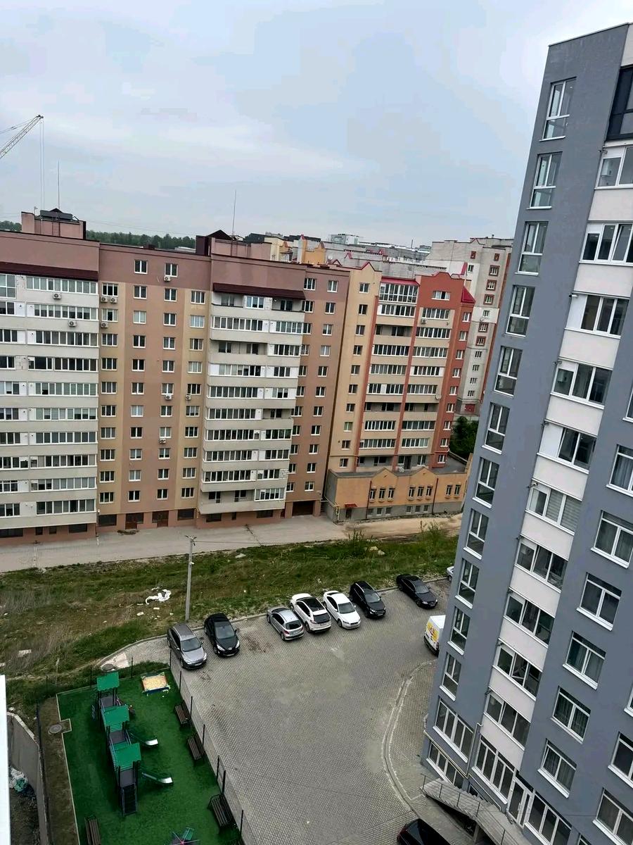 1864781020167533