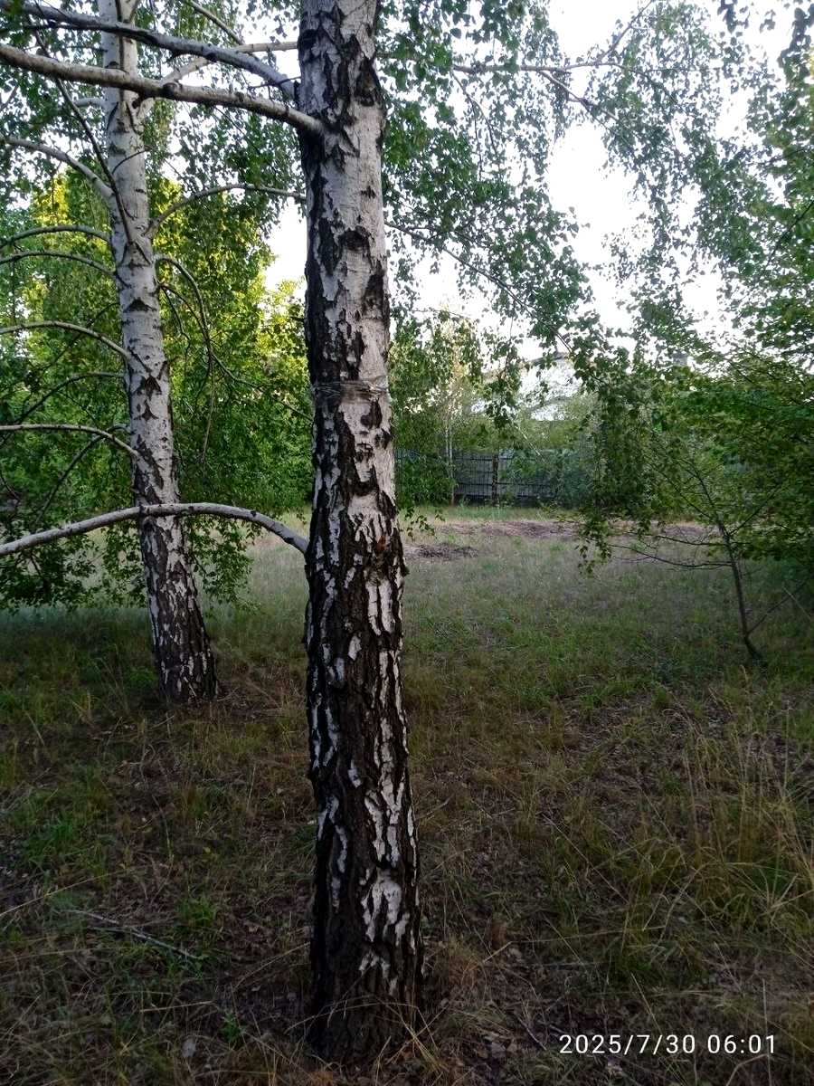 1864822260419325