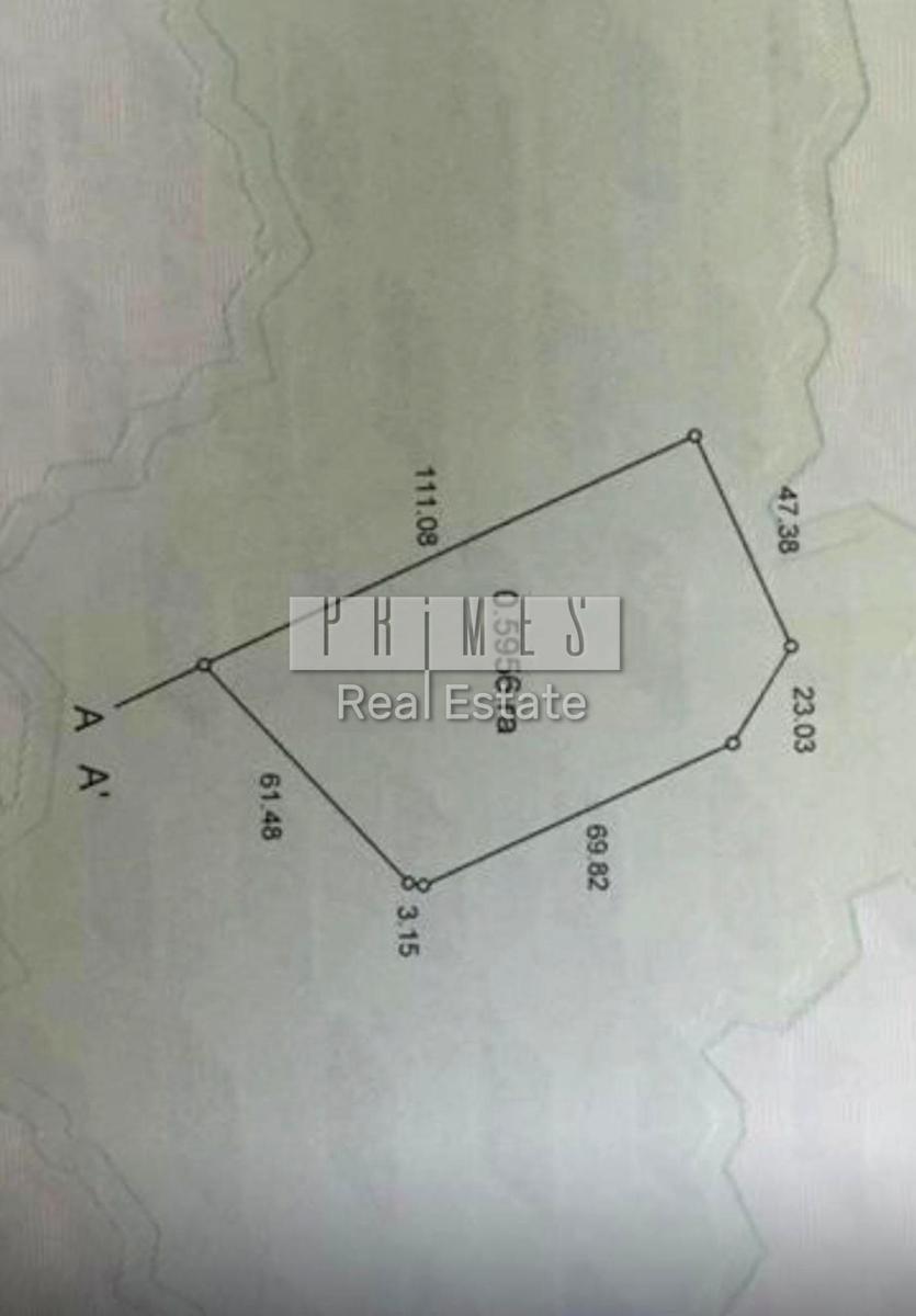 1864967899968024