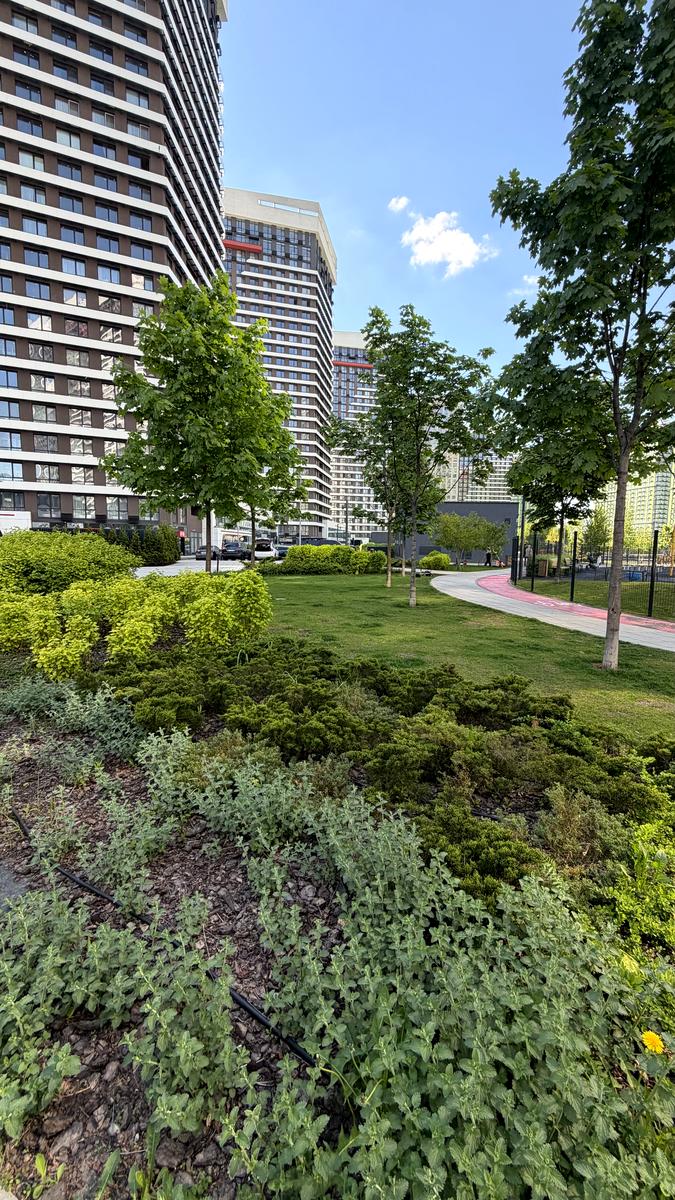 1864970705542985