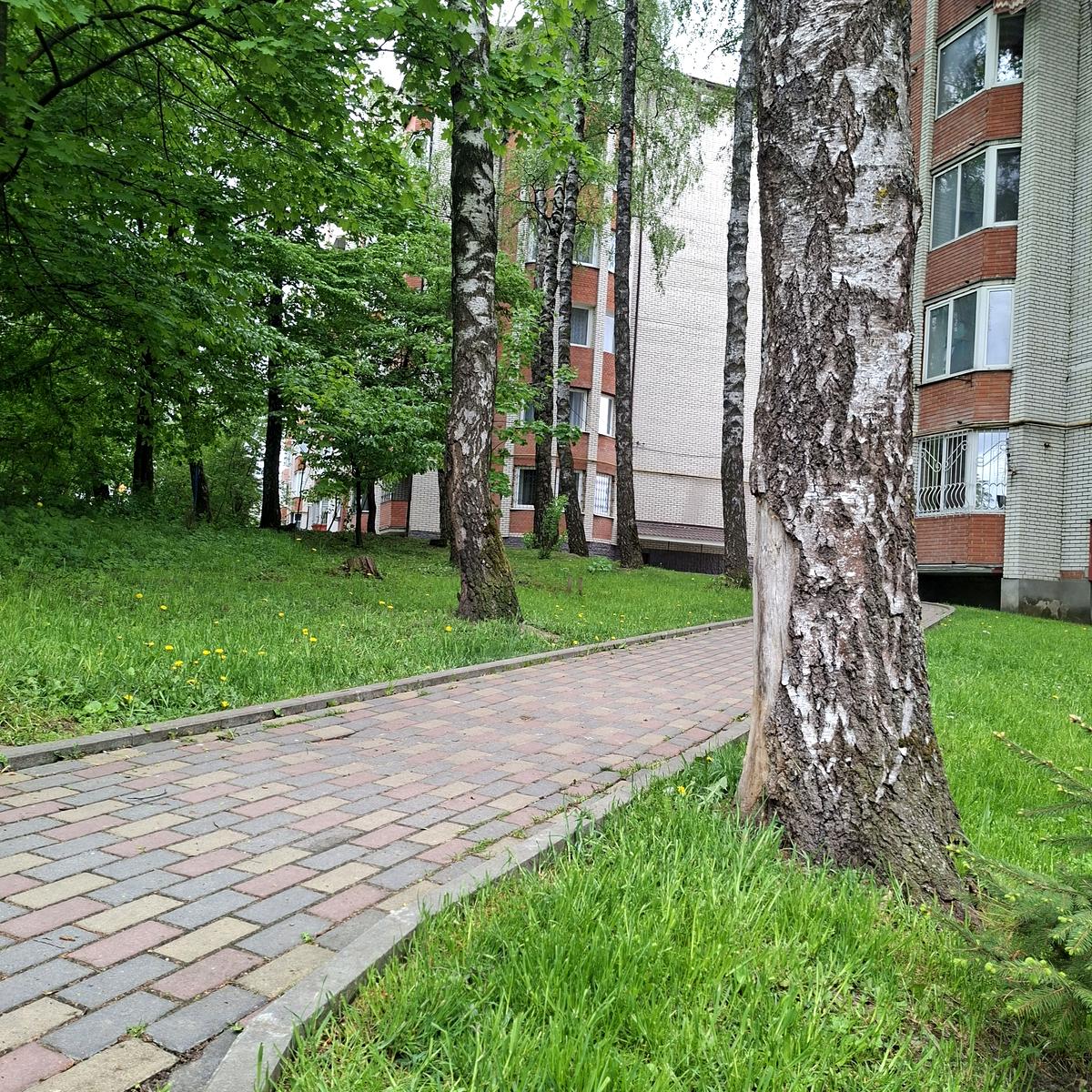 1864973834838622