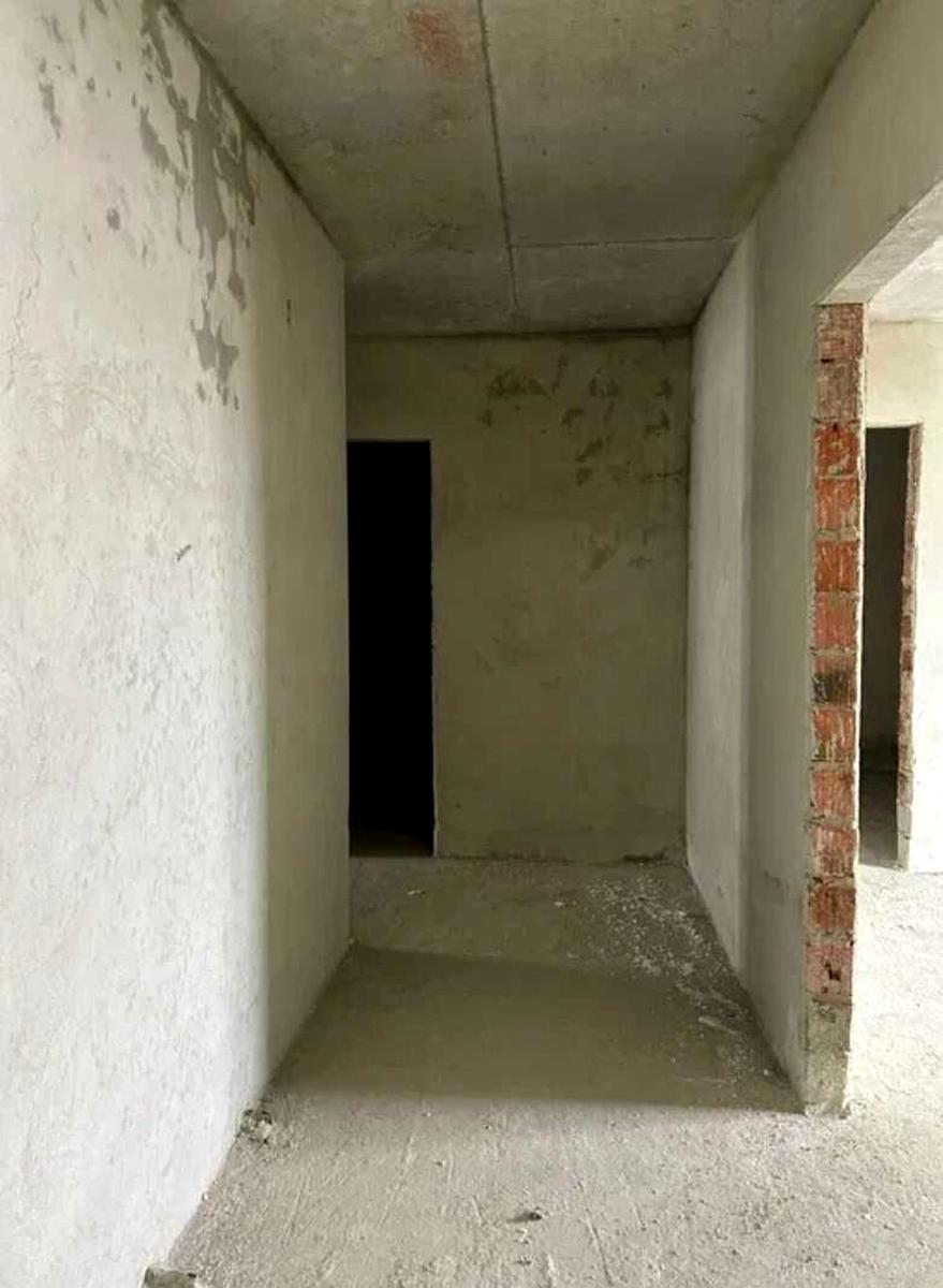 1865058086267661.jpg