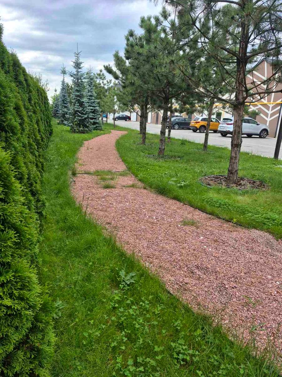 1865064856921875
