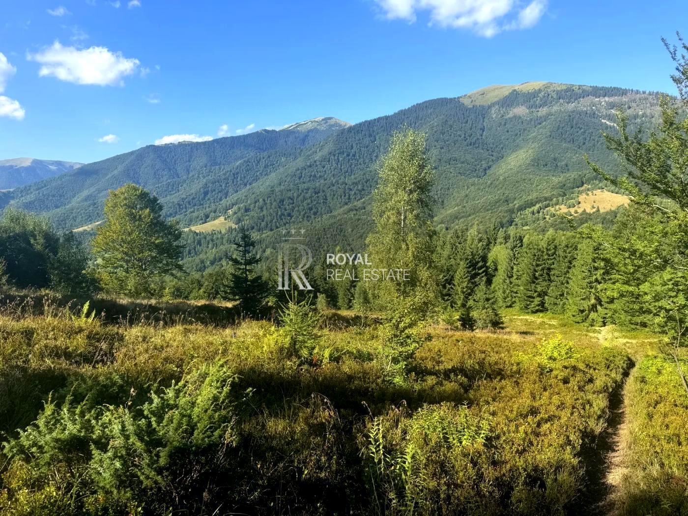 1865067219779591